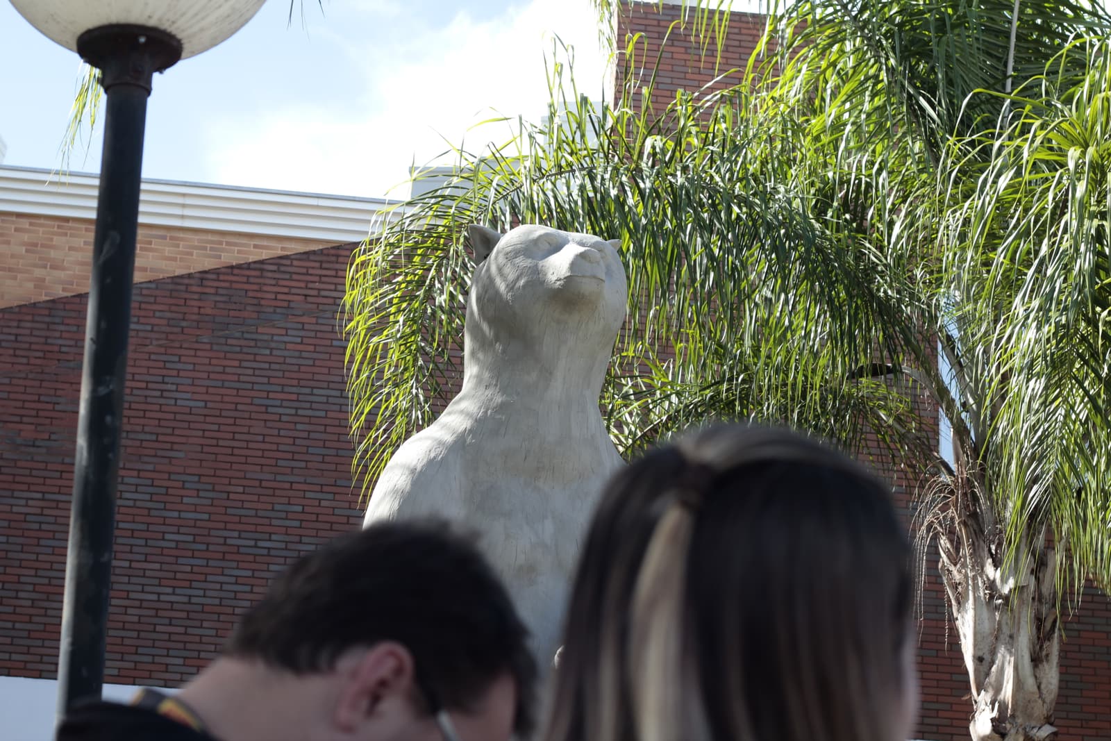 Colorado Fonte do Urso — imagem 5